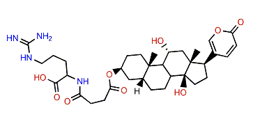 3-(N-Succinoyl argininyl)-gamabufotalin